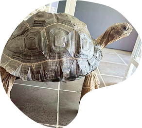 ロンサム副所長